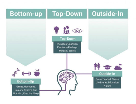 Get to Know the House You Live In: A Self-Awareness Guide